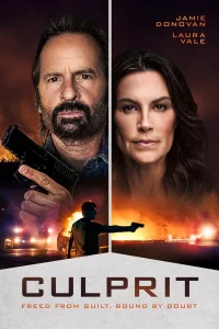 Постер фильмa Преступник